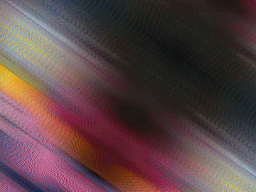 1111.gif