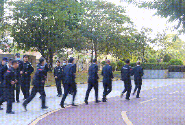 7.gif