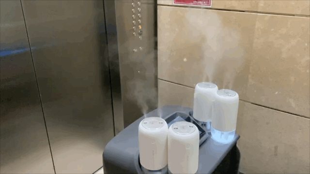 11.gif