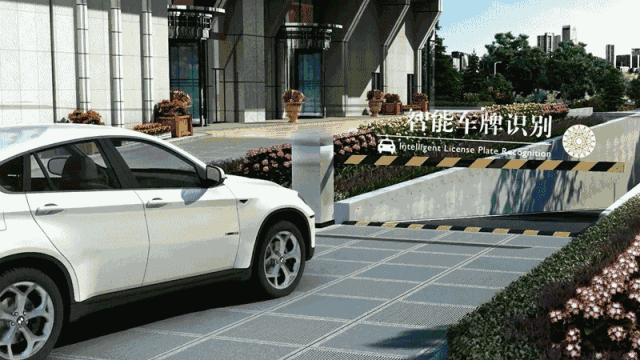 20.gif